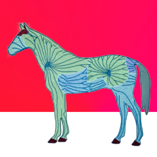 Manuelle Lymphdrainage