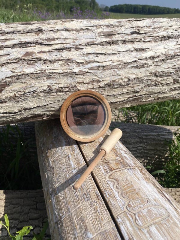 Custom Calls