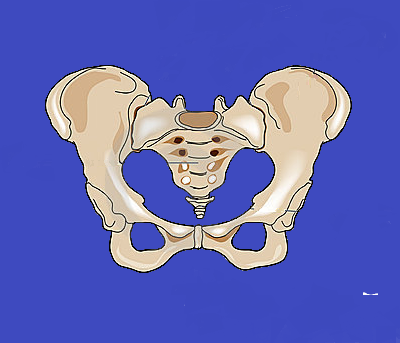 Bekkenfysiotherapie Amersfoort