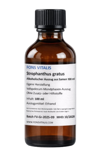 Strophanthus gratus – Alkoholischer Pflanzenextrakt (100 ml)