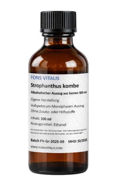 Strophanthus kombe – Alkoholischer Pflanzenextrakt (100 ml)