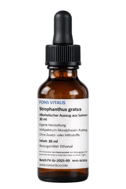 Strophanthus gratus – Alkoholischer Pflanzenextrakt (30 ml)