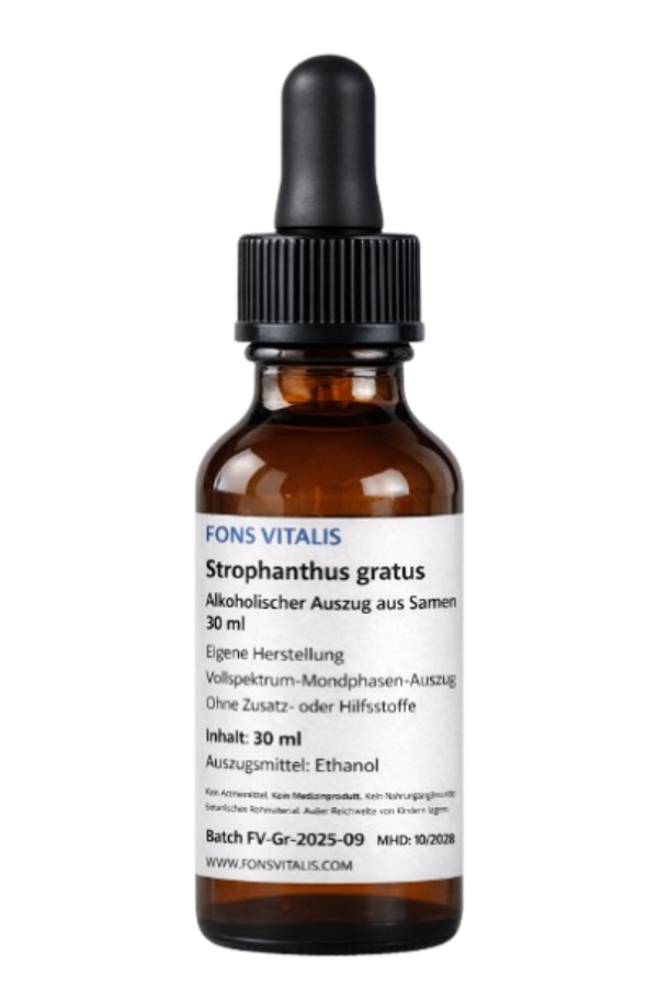 Strophanthus gratus – Alkoholischer Pflanzenextrakt (30 ml)