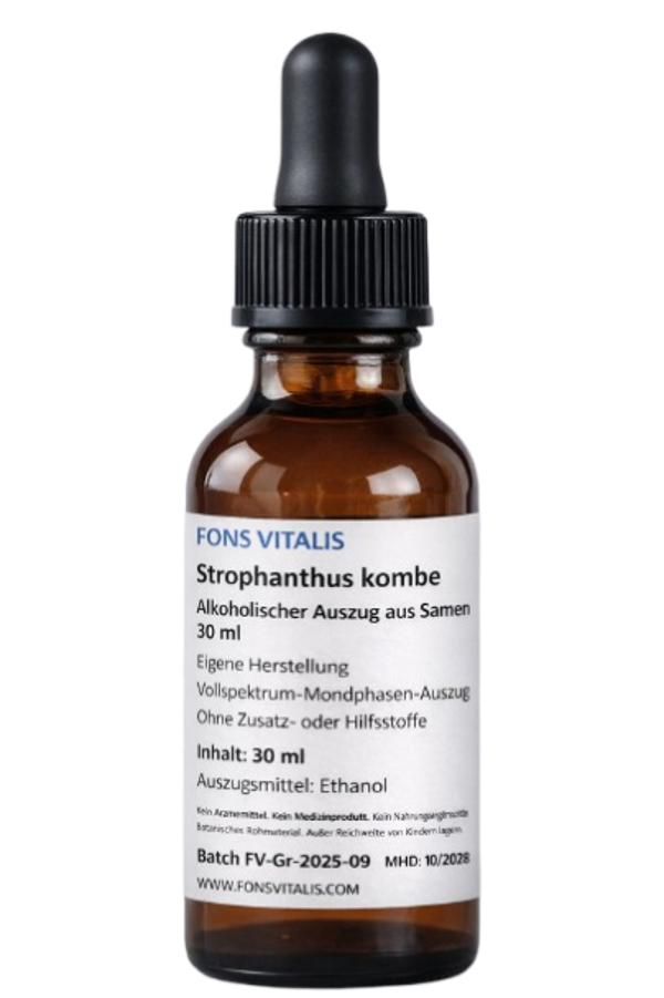 Strophanthus kombe – Alkoholischer Pflanzenextrakt (30 ml)