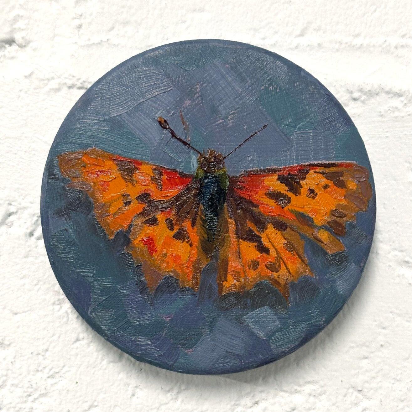 Polygonia C-Album - Oil on metal - Ø 8.6cm