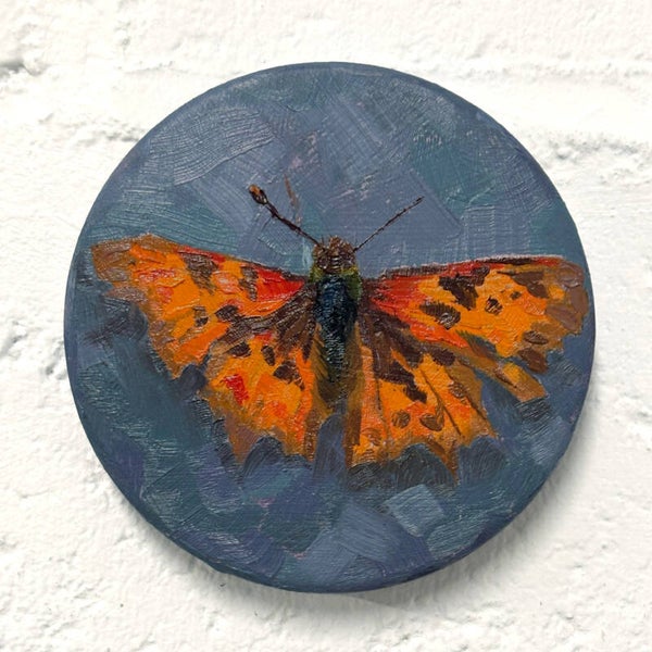Polygonia C-Album - Oil on metal - Ø 8.6cm