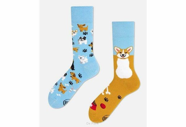 Many Mornings Sokken Playful Dog