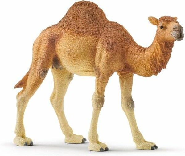 Dromedaris Schleich - 14832