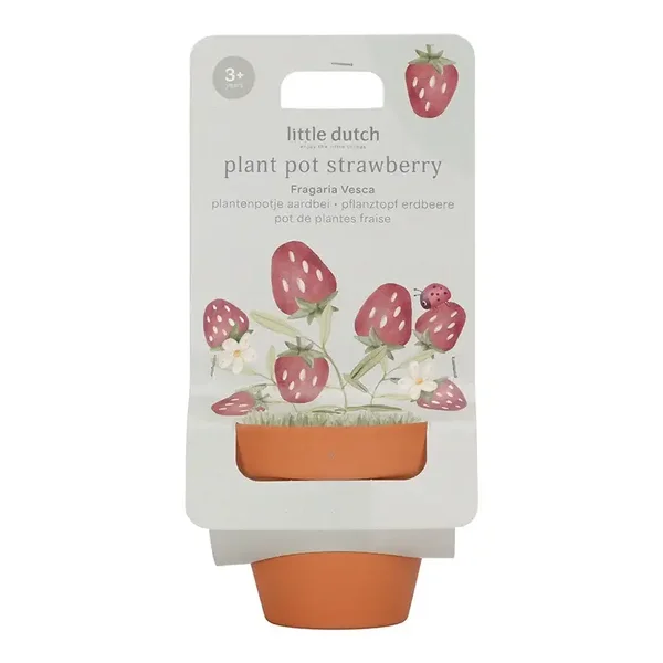 Plantenpotje Aardbei LD9131