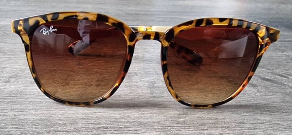 Ray-Ban Polarized Sunglasses