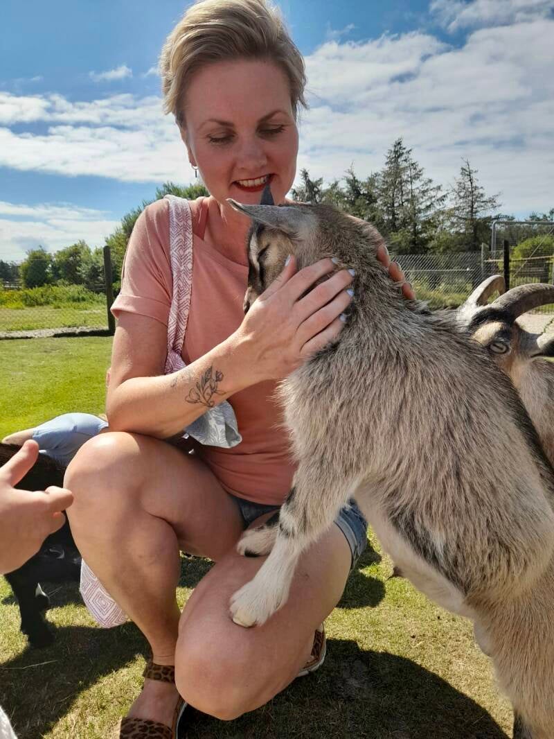 In de zomer op vakantie naar Denemarken. 5 redenen waarom je voor de regio blavand kiest.