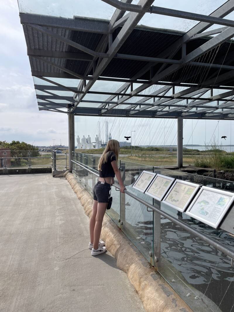 In de zomer op vakantie naar Denemarken. 5 redenen waarom je voor de regio blavand kiest.