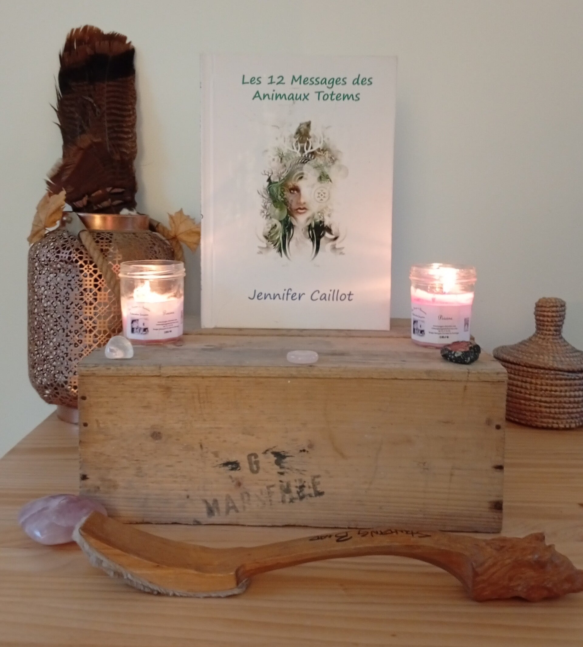 Livre - Les 12 Messages des Animaux Totems