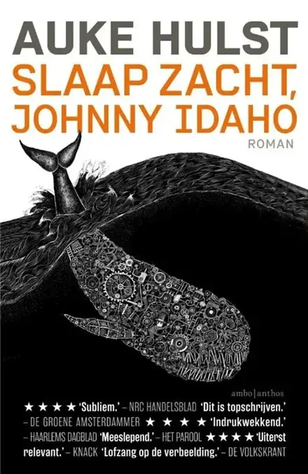 2027 - 3 DU / 3 basis DU - Samenvatting boek 'Slaap zacht Johnny Idaho' van Auke Hulst