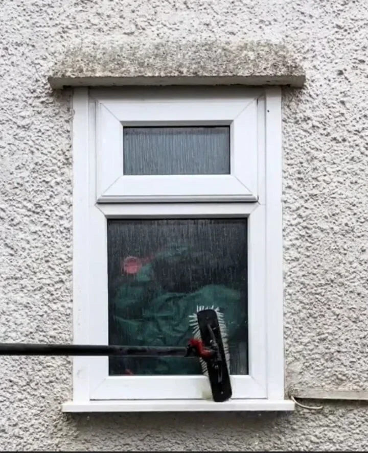 Window Cleaning