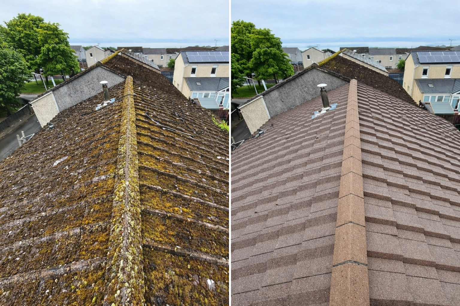 Roof cleaning in Limerick