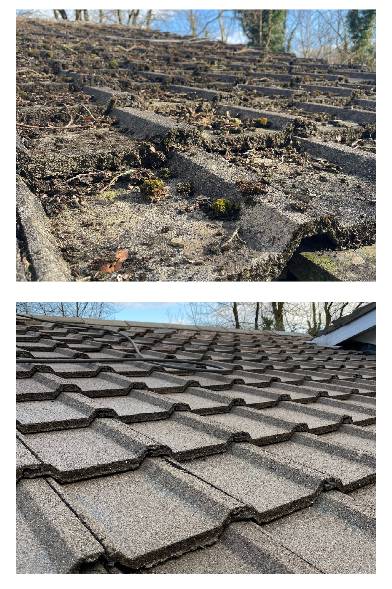 roof cleaning