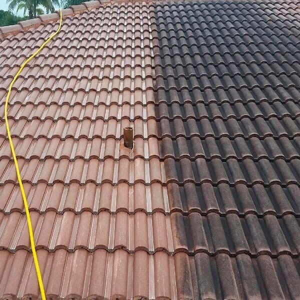 roof cleaning 