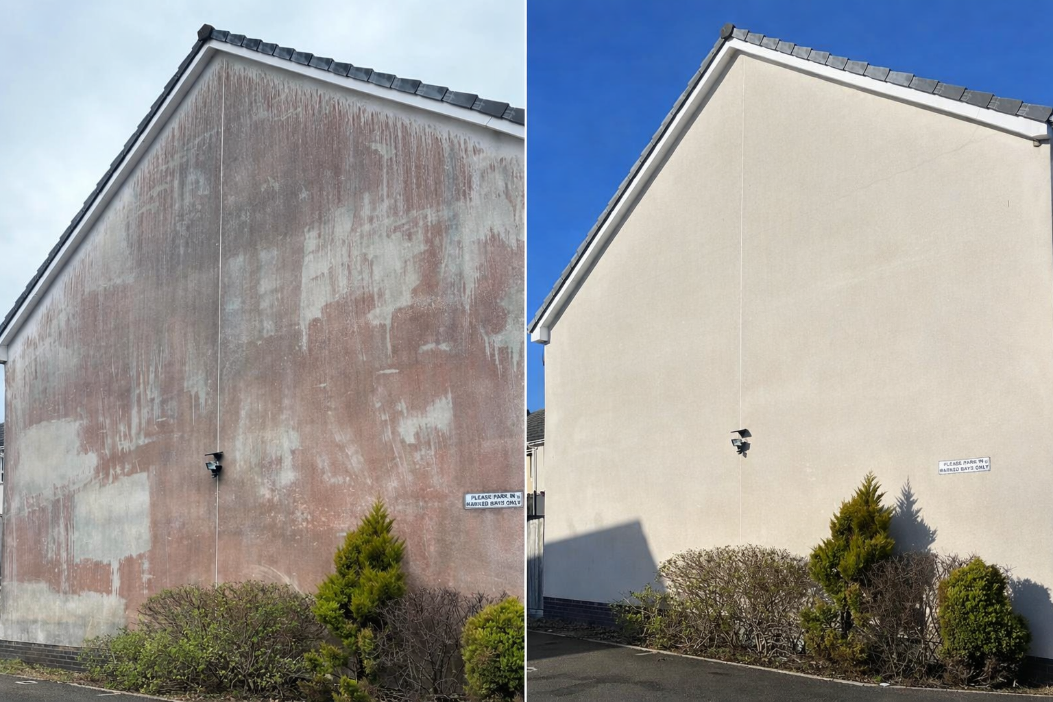 Red algae removal in Limerick