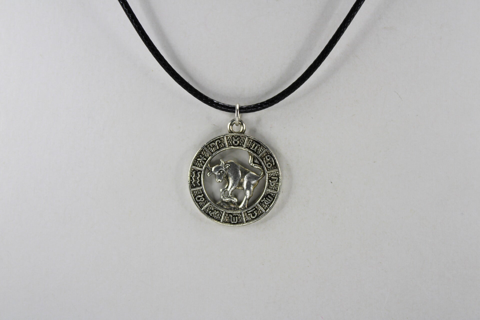 Ronde Hanger Sterrenbeeld Divers - Ketting