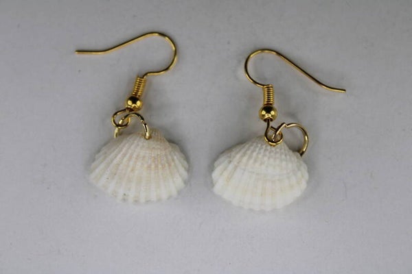 Witte Schelpjes - Oorbellen