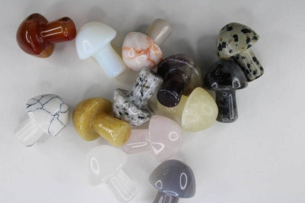 Paddenstoelen - Natuursteen