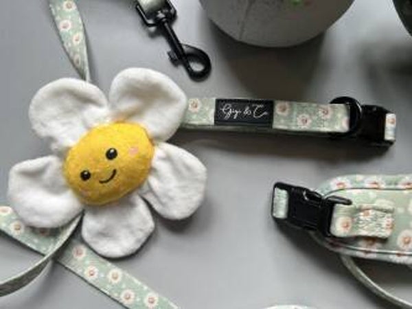 Have a great daisy Collar
