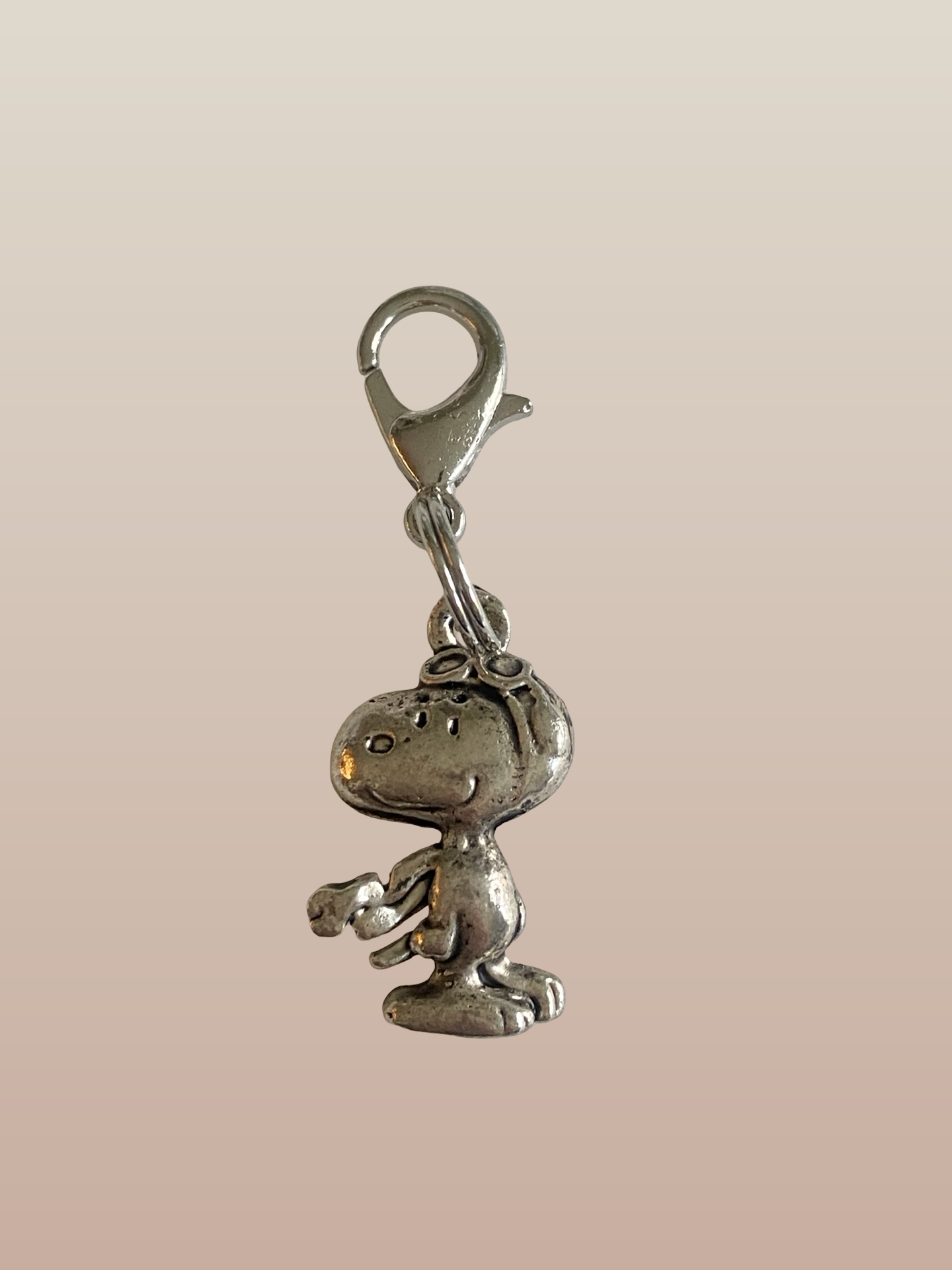 Bedel Snoopy