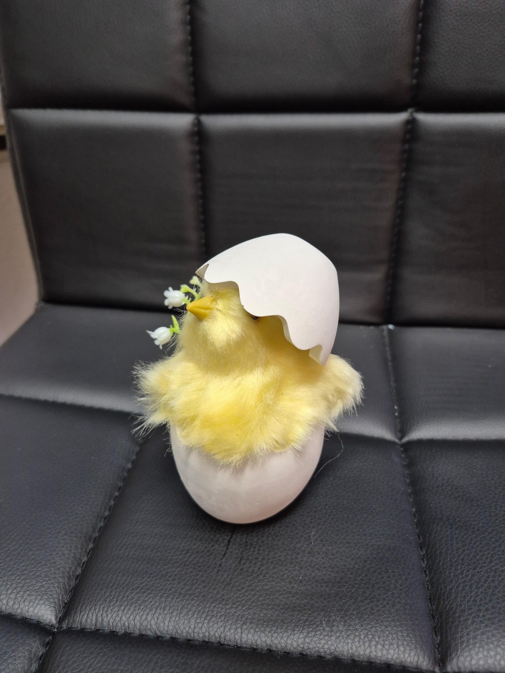 Küken in Eierschale