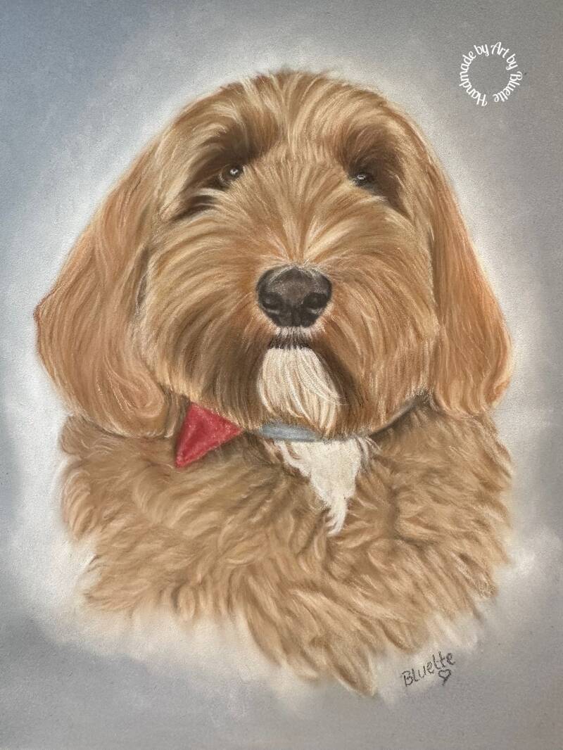Macy pasteltekening