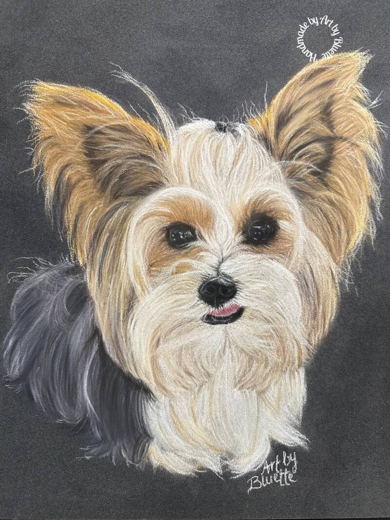Binky pasteltekening