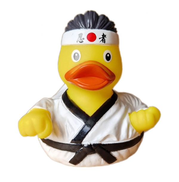 Badeend Karate