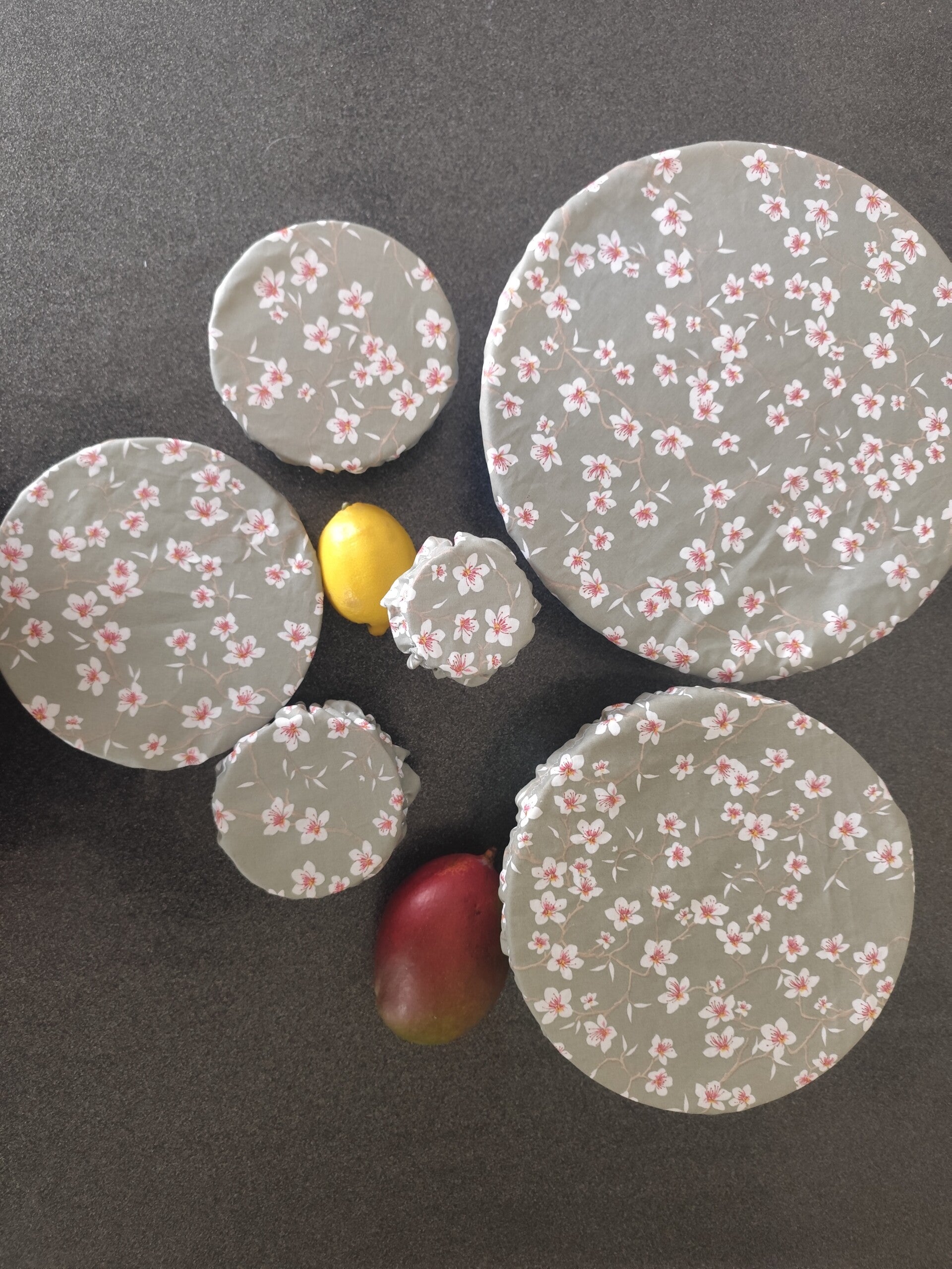 Charlottes Alimentaires  Sakura