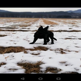screenshot_20230112-143713-1.jpg