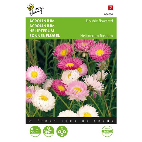 Buzzy® Acroclinium dubbelbloemig gemengd