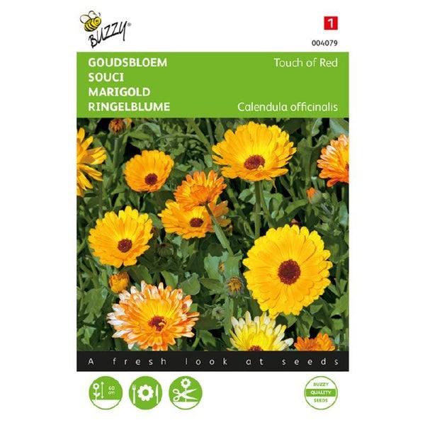 Buzzy® Calendula, Goudsbloem Touch of Red