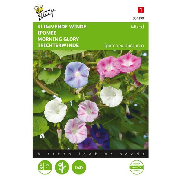 Buzzy® Ipomoea, Klimmende winde gemengd