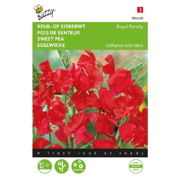 Buzzy® Lathyrus, Reuk- of siererwt Royal Family rood