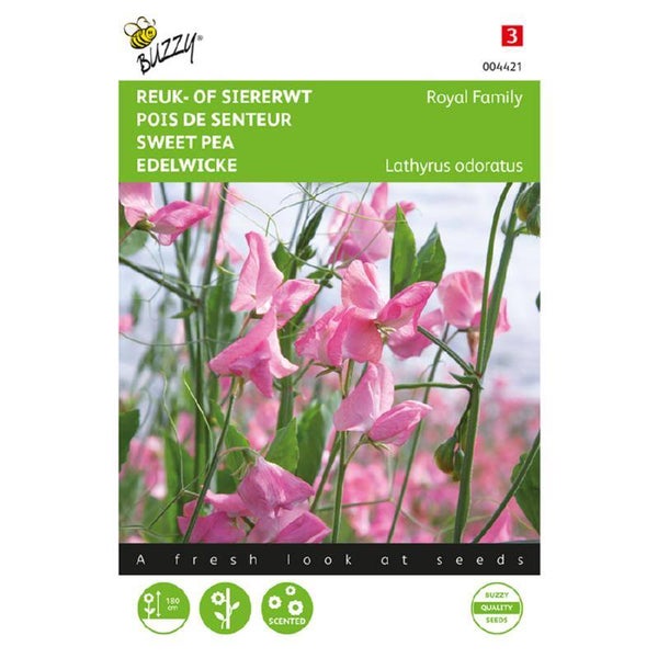 Buzzy® Lathyrus, Reuk- of siererwt Royal Family roze