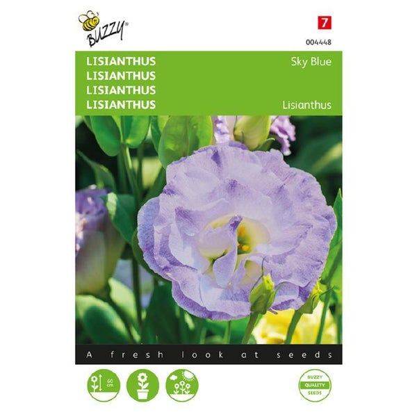 Buzzy® Lisianthus Sky Blue