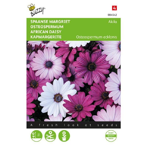 Buzzy® Osteospermum, Spaanse Margriet Akila mix
