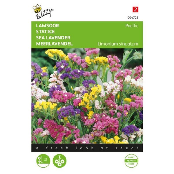 Buzzy® Limonium, Lamsoor Pacific gemengd