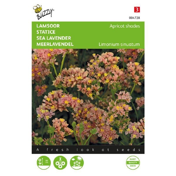 Buzzy® Limonium, Lamsoor Apricot shades