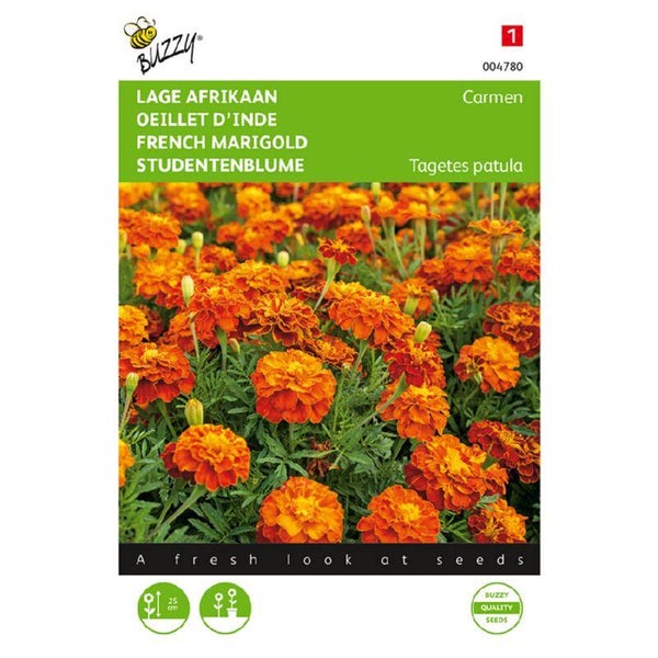 Buzzy® Tagetes, lage Afrikaan Carmen