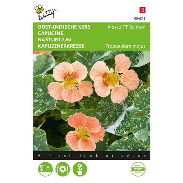 Buzzy® Tropaeolum, Oost-indische kers Alaska TT Salmon