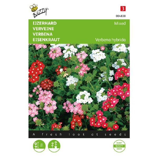 Buzzy® Verbena, IJzerhard compact kleurenmengsel