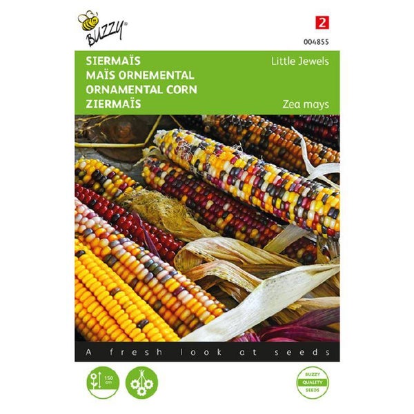 Buzzy® Zea Mays, Siermaïs Little Jewels gemengd