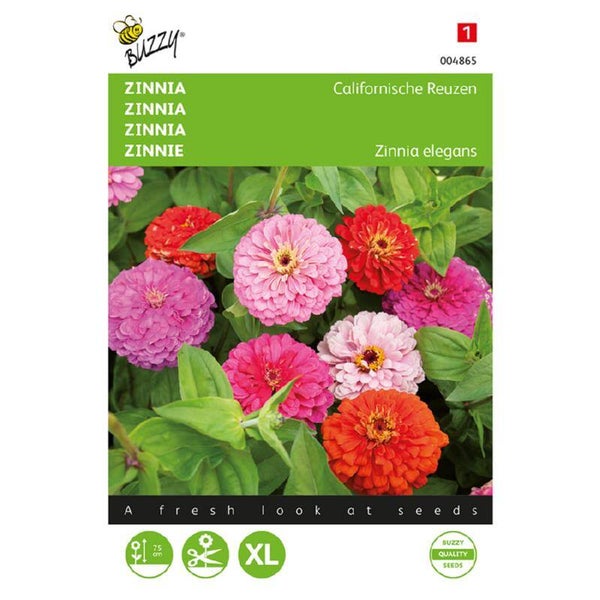 Buzzy® Zinnia Californische Reuzen gemengd