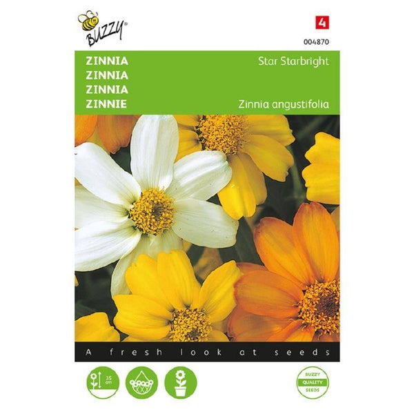 Buzzy® Zinnia Star Starbright gemengd
