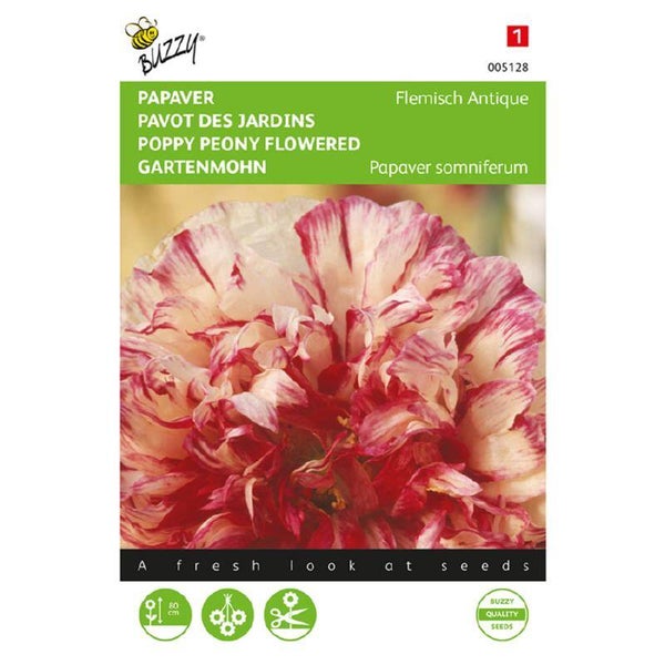 Buzzy® Papaver, Slaapbol Flemish Antique